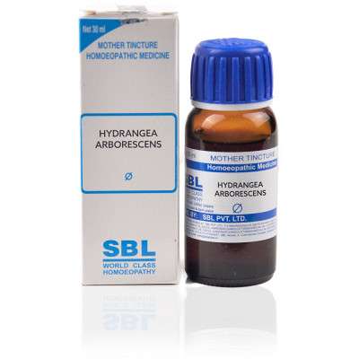 SBL Hydrangea Arborescens 1X (Q) (30ml)
