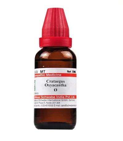 crataegus-Oxyacantha-q.