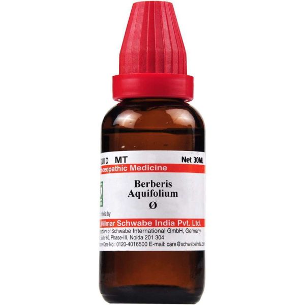 Berberis Aquifolium q